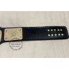 WWE Big Gold World Heavyweight Wrestling Championship Belt Dual Plated 