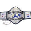WWF Hulk Hogan 86 World Heavyweight Wrestling Championship Belt 4mm Zinc