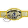 WWF New Intercontinental Heavyweight Championship Replica Wrestling Belt Yellow Leather Strap 